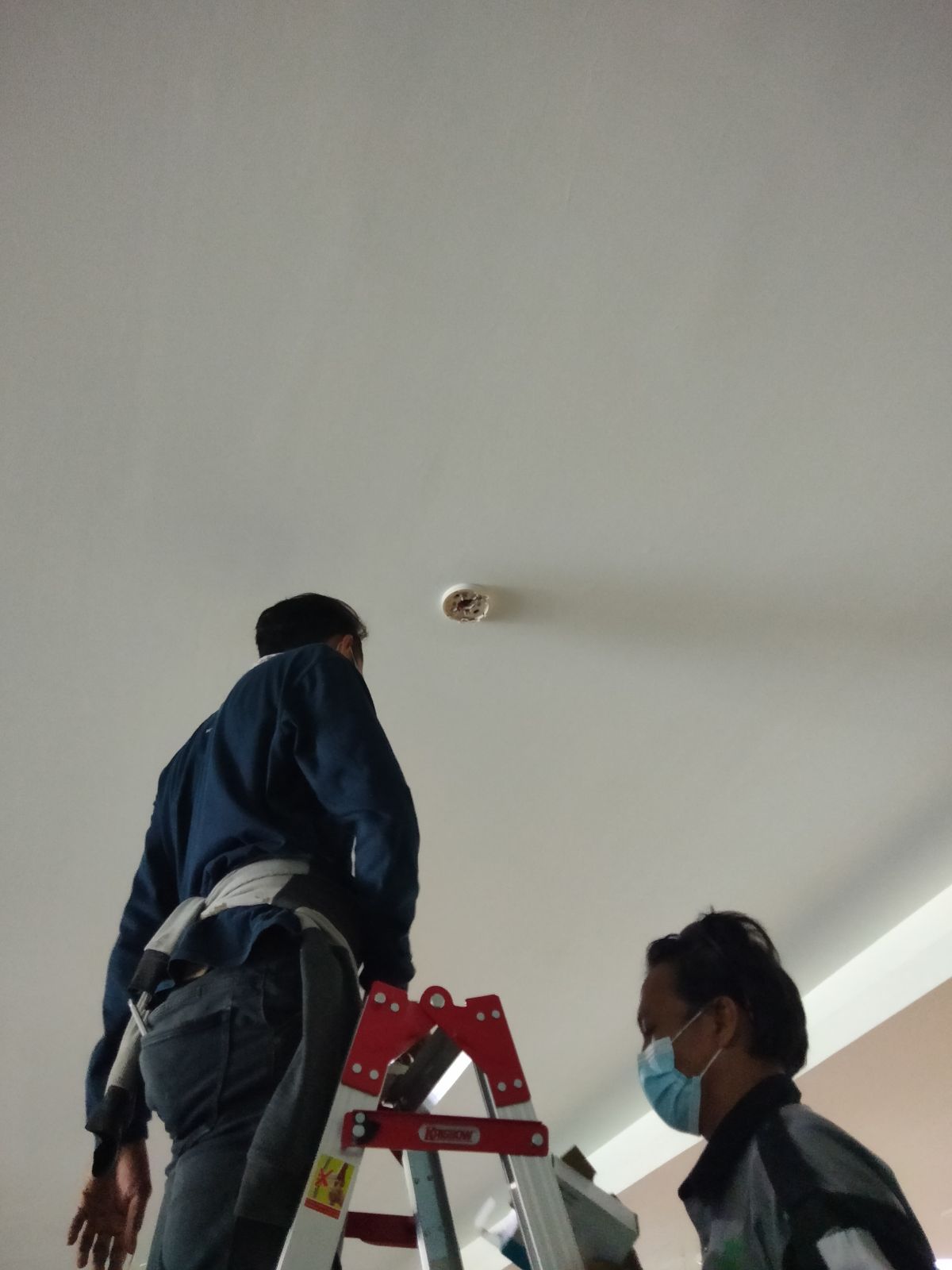 IMG20210529112518